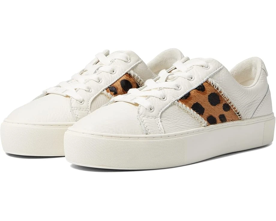 UGG Dinale 1 UGG Dinale