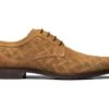 Stacy Adams Radburn Plain Toe Oxford -Clarks Shop 71FvqGYeQaL. AC SR920736