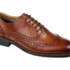 Thomas & Vine Franklin Wing Tip Oxford -Clarks Shop 81ZLw b2bGL. AC SR920736